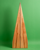 Bass Bowed Psaltery with Hilton of Cadbol Rosette